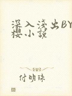 深入浅出BY胖樱小说