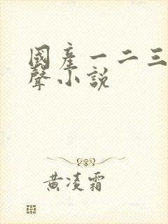 国产一二三区有声小说