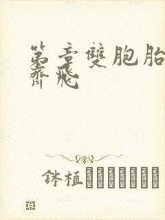 第章双胞胎姐妹齐飞