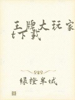 王牌大玩家txt下载