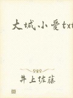 大城小爱txt