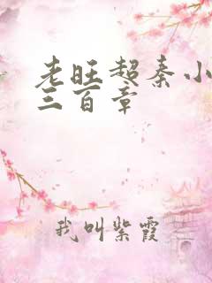 老旺超秦小雨第三百章