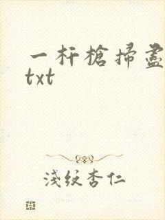 一杆枪扫尽全家txt