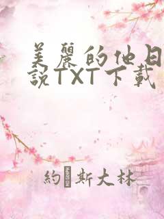 美丽的他日剧小说TXT下载