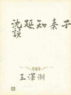 沈延知秦子卿小说