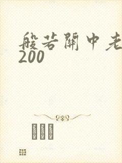 般若关中老人5200