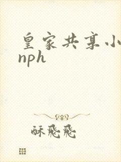 皇家共享小公主nph