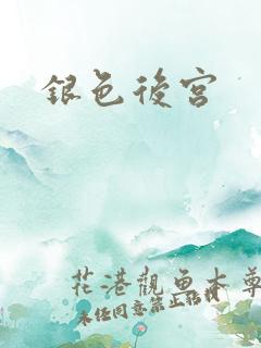 银色后宫