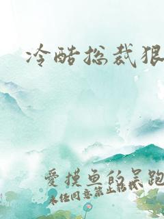 冷酷总裁狠狠爱