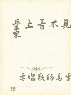 爱上看不见的房东