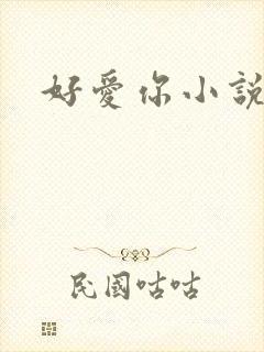好爱你小说