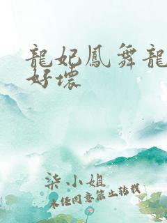 龙妃凤舞龙王你好坏