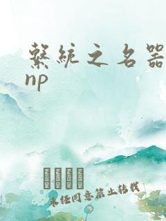 系统之名器攻略np