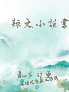 辣文小说书包网