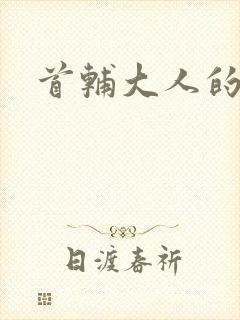 首辅大人的套路