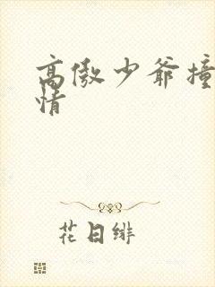 高傲少爷撞到爱情