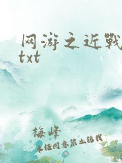 网游之近战法师txt
