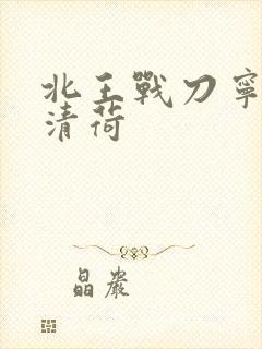 北王战刀宁北苏清荷