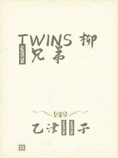 TWINS 柳澤兄弟