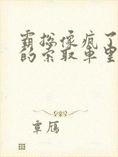 霸总像疯了一样的索取车里