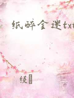 纸醉金迷txt