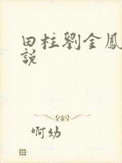 田柱刘金凤的小说