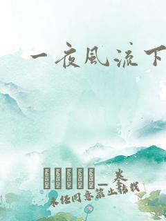 一夜风流下载