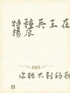 特种兵王在都市杨辰