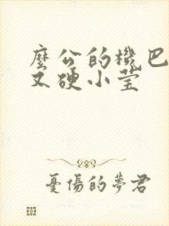 么公的机巴又粗又硬小莹