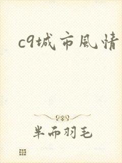 c9城市风情