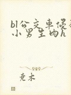 bl公交车侵犯小男生肉h