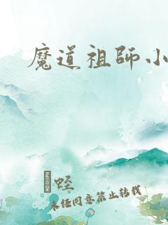 魔道祖师小说