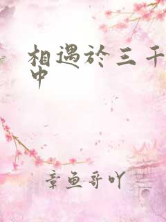 相遇于三千肉文中