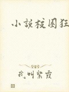 小说校园狂少