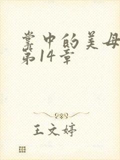掌中的美母版主第14章