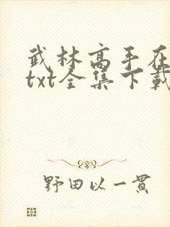 武林高手在校园txt全集下载