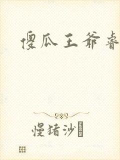 傻瓜王爷睿智妃