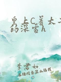 皇上C着太子妃的深处h