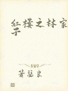 红楼之林家庶长子