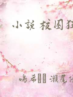 小说 校园狂少