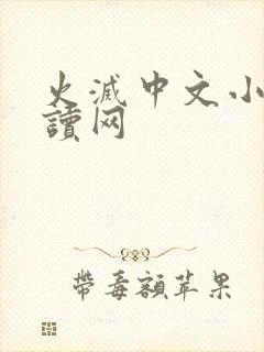 火灭中文小说阅读网