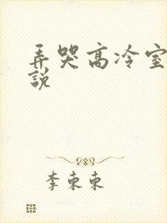 弄哭高冷室友小说