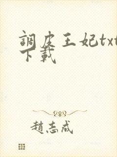 调皮王妃txt下载