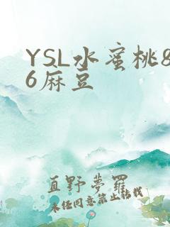 YSL水蜜桃86麻豆