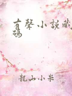 有声小说藏地密码