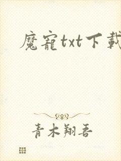 魔宠txt下载