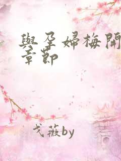 与孕妇梅开三度章节