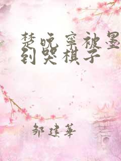 楚晚宁被墨燃做到哭棋子