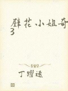 壁花小姐奇遇记3