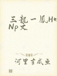 三龙一凤H啪肉Np文